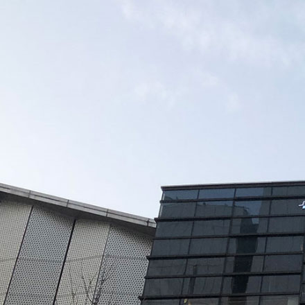 大山標識設計：大自然的標志